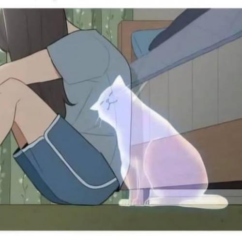 สมาชิกหมายเลข 9048699