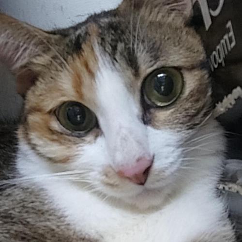 สมาชิกหมายเลข 9049449