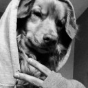 สมาชิกหมายเลข 3063813