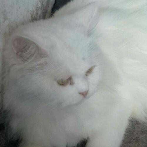 สมาชิกหมายเลข 2624347