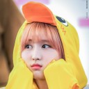 สมาชิกหมายเลข 3851310