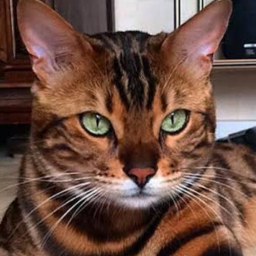 สมาชิกหมายเลข 5902774