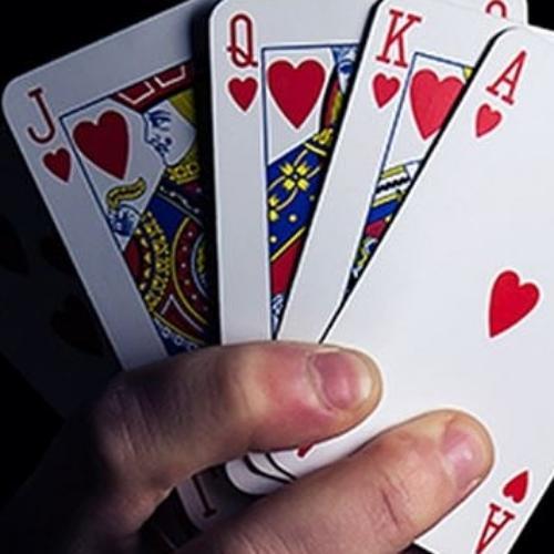 สมาชิกหมายเลข 6503482