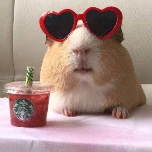 สมาชิกหมายเลข 3220567