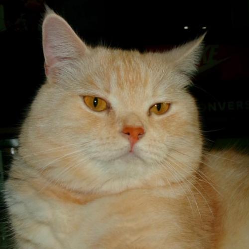 สมาชิกหมายเลข 2721303