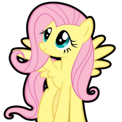 สมาชิกหมายเลข 9039558