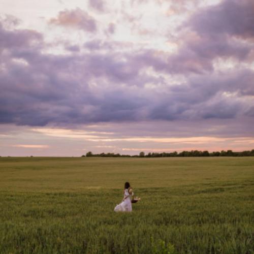 สมาชิกหมายเลข 9049797