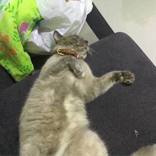 สมาชิกหมายเลข 2874482