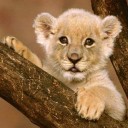 สมาชิกหมายเลข 4117376