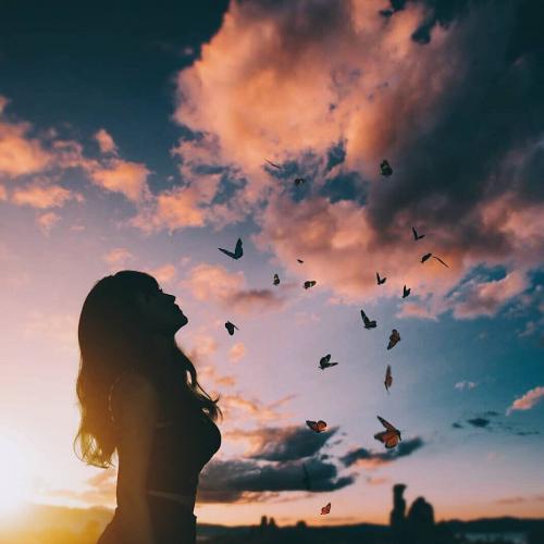 สมาชิกหมายเลข 4893348