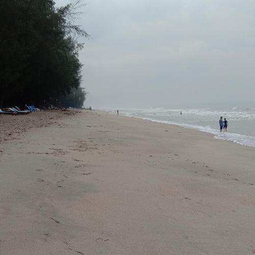 สมาชิกหมายเลข 5875202