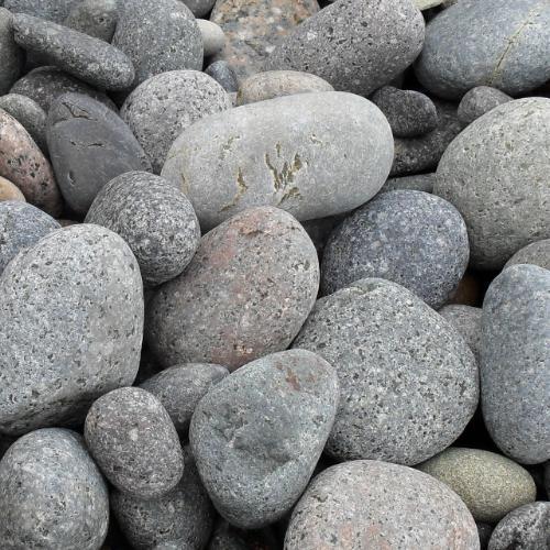 สมาชิกหมายเลข 5897849