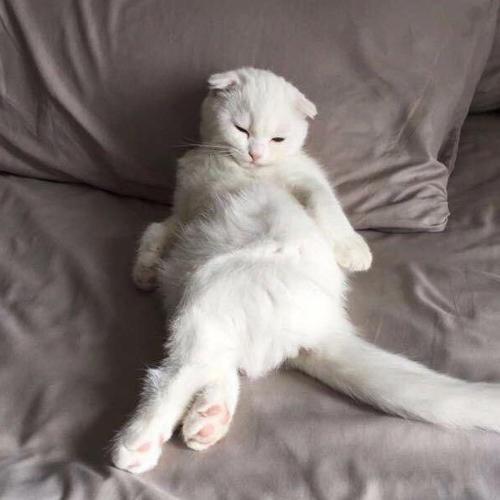 สมาชิกหมายเลข 5903336