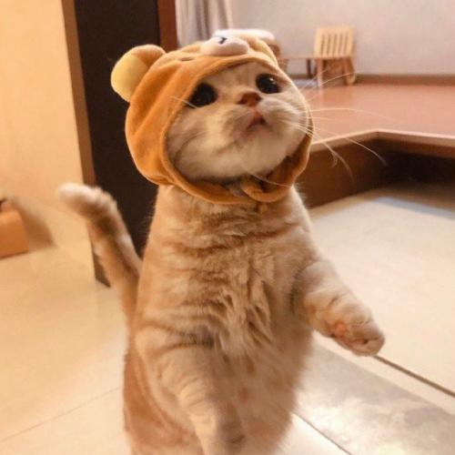 สมาชิกหมายเลข 6205646