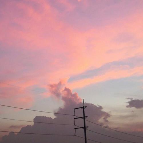 สมาชิกหมายเลข 6505275