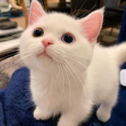 สมาชิกหมายเลข 7118660