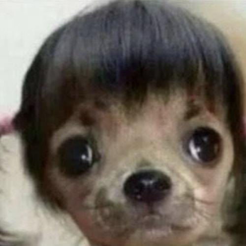 สมาชิกหมายเลข 7215588