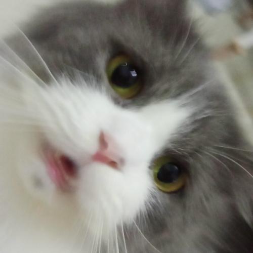 สมาชิกหมายเลข 8024524