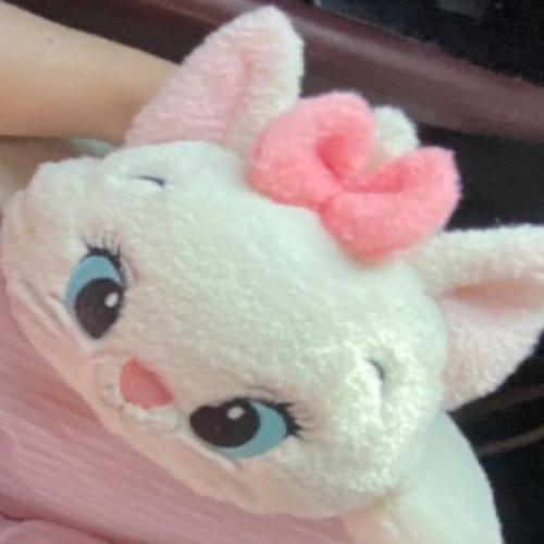 สมาชิกหมายเลข 9050527