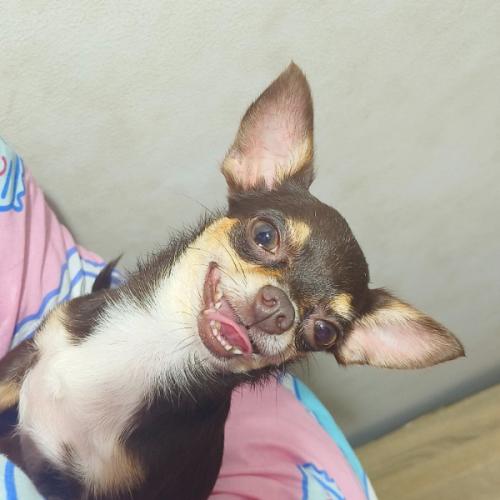 สมาชิกหมายเลข 9051003