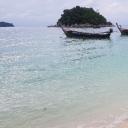 เสือน้อยสีชมพู