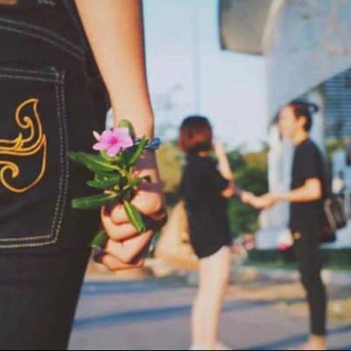 สมาชิกหมายเลข 5005393