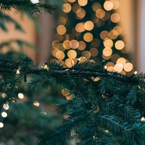 สมาชิกหมายเลข 5399277