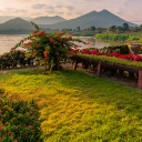 สมาชิกหมายเลข 877361