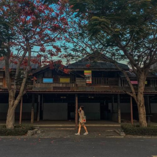 สมาชิกหมายเลข 3806569