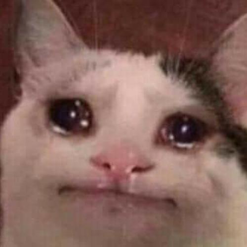 สมาชิกหมายเลข 5250601