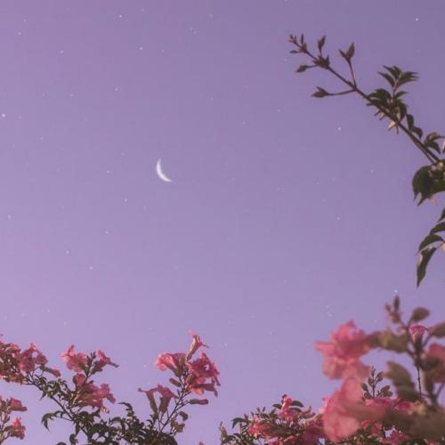 สมาชิกหมายเลข 5327987