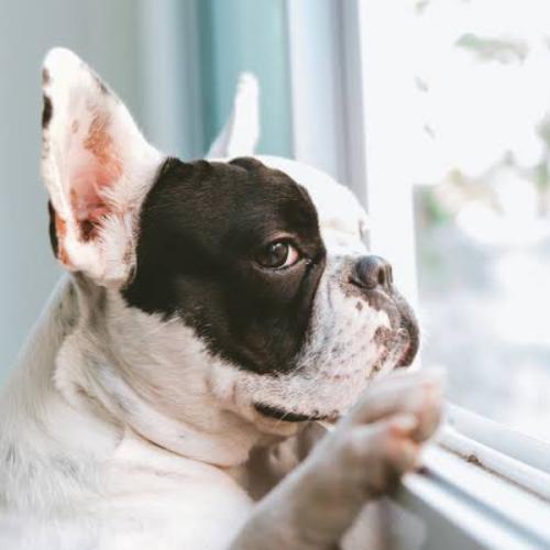 สมาชิกหมายเลข 5813086