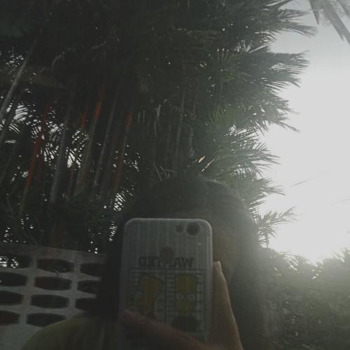 สมาชิกหมายเลข 5873373