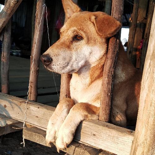 สมาชิกหมายเลข 5903160