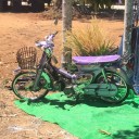 สมาชิกหมายเลข 3194169