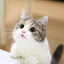 สมาชิกหมายเลข 2223411