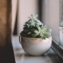 สมาชิกหมายเลข 4120159