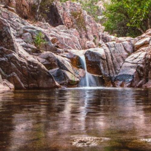 สมาชิกหมายเลข 1712388