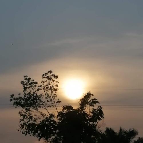 สมาชิกหมายเลข 5265326