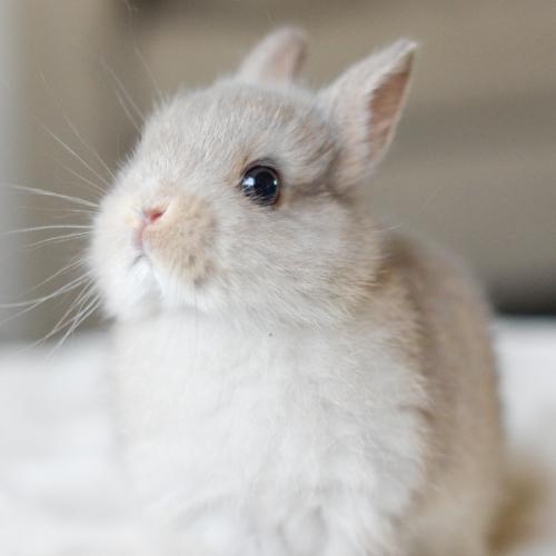 สมาชิกหมายเลข 5423733