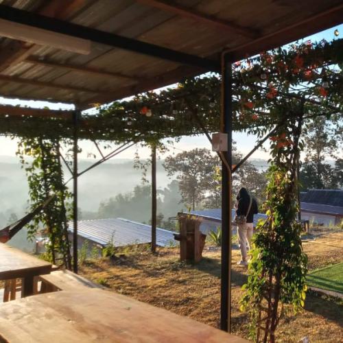 สมาชิกหมายเลข 5903725