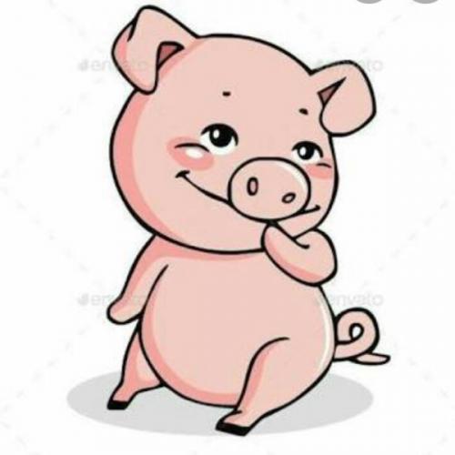 สมาชิกหมายเลข 5903923