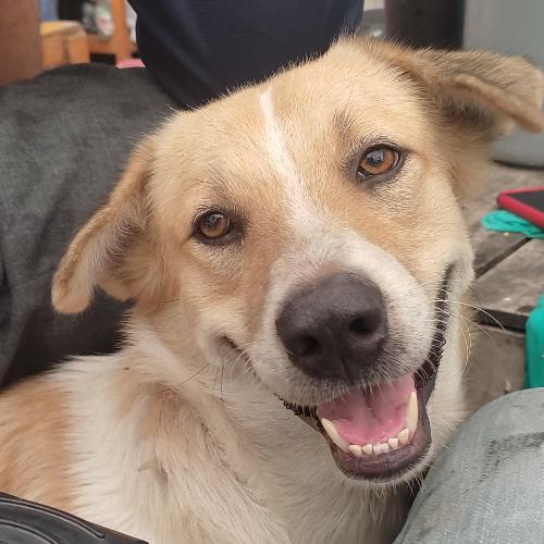 สมาชิกหมายเลข 3322797