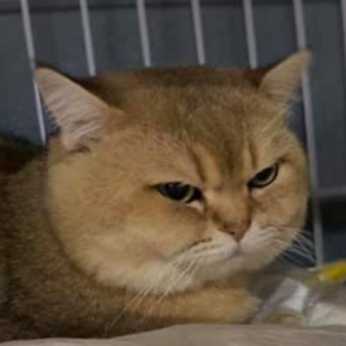 สมาชิกหมายเลข 3519339