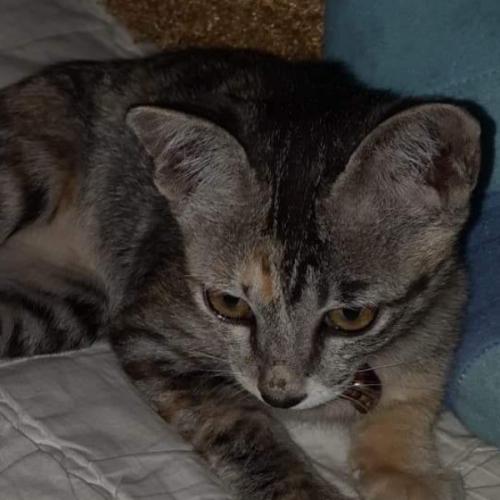 สมาชิกหมายเลข 4366664