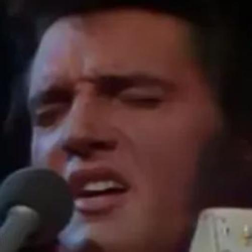 สมาชิกหมายเลข 8025955