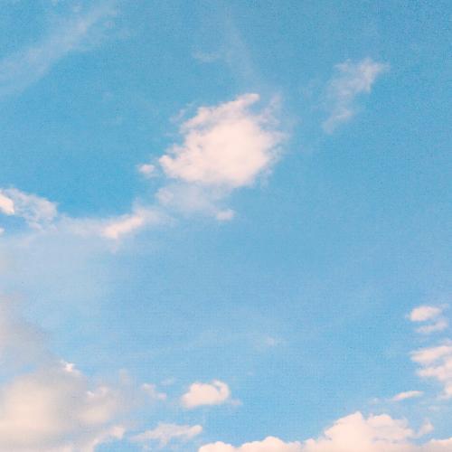 สมาชิกหมายเลข 5005249