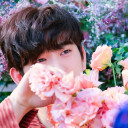 สมาชิกหมายเลข 5006110