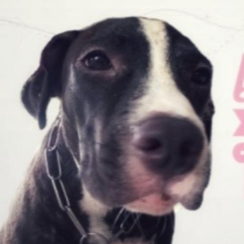 สมาชิกหมายเลข 5901345