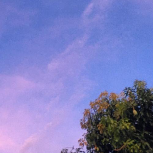 สมาชิกหมายเลข 6507272